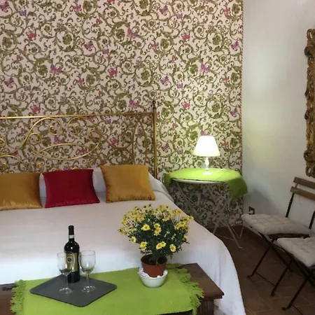 La Chiocciolina Apartment Lucca