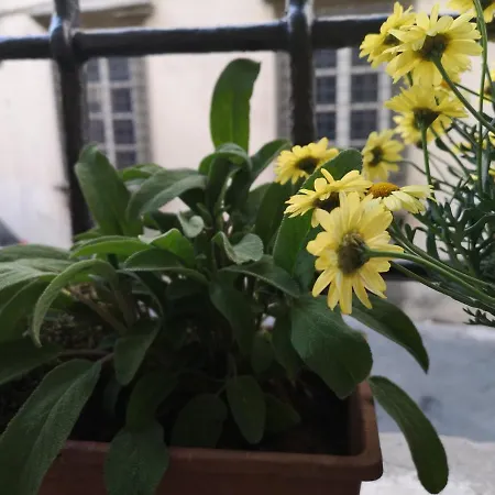 La Chiocciolina *