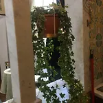 Апартаменты La Chiocciolina *