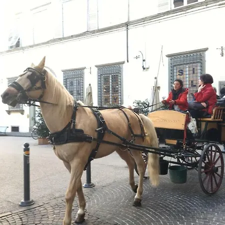 Apartman La Chiocciolina Lucca